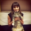 Glee Saison 4 